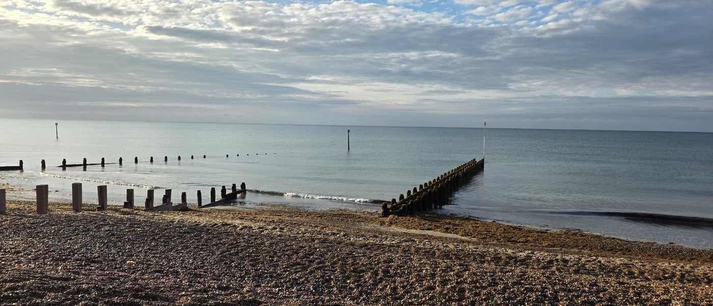 A timber groyne running out from the shingle into shallow water, its posts crusted with weed, with a red and white marker post at the seaward end