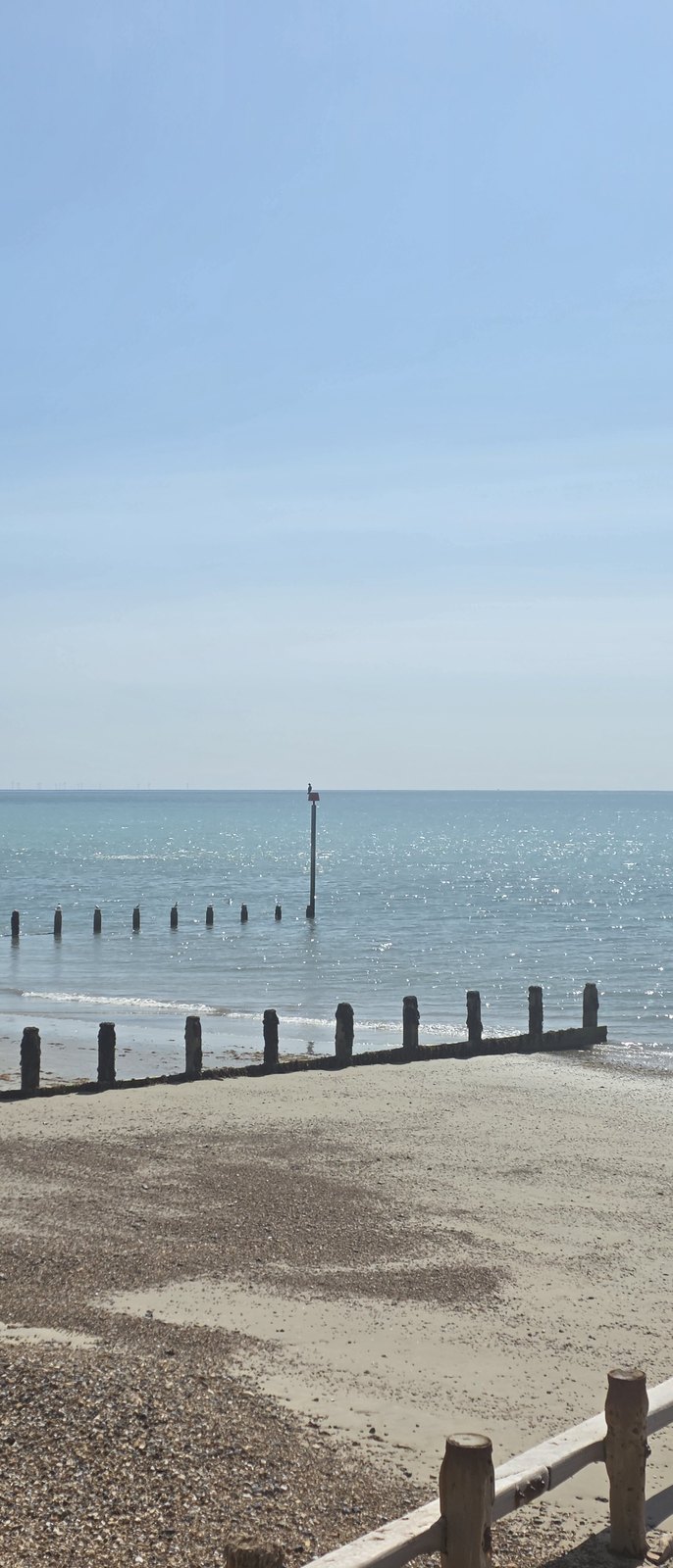 A timber groyne running out into a calm sea, with a slim marker post at its seaward end carrying a topmark, and a dark bird perched on top of it