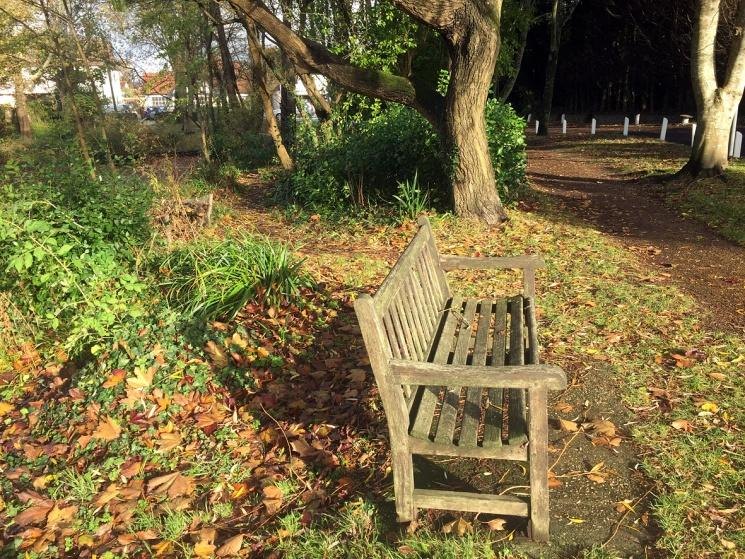 A weathered wooden bench under a large willow beside the pond, with fallen leaves across the grass and a path curving away behind it