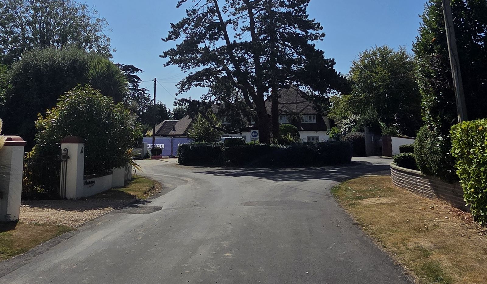 A planted roundabout island with a clipped hedge and a tall mature pine, a blue keep-left sign at its edge, and the private road dividing to pass either side of it between garden walls