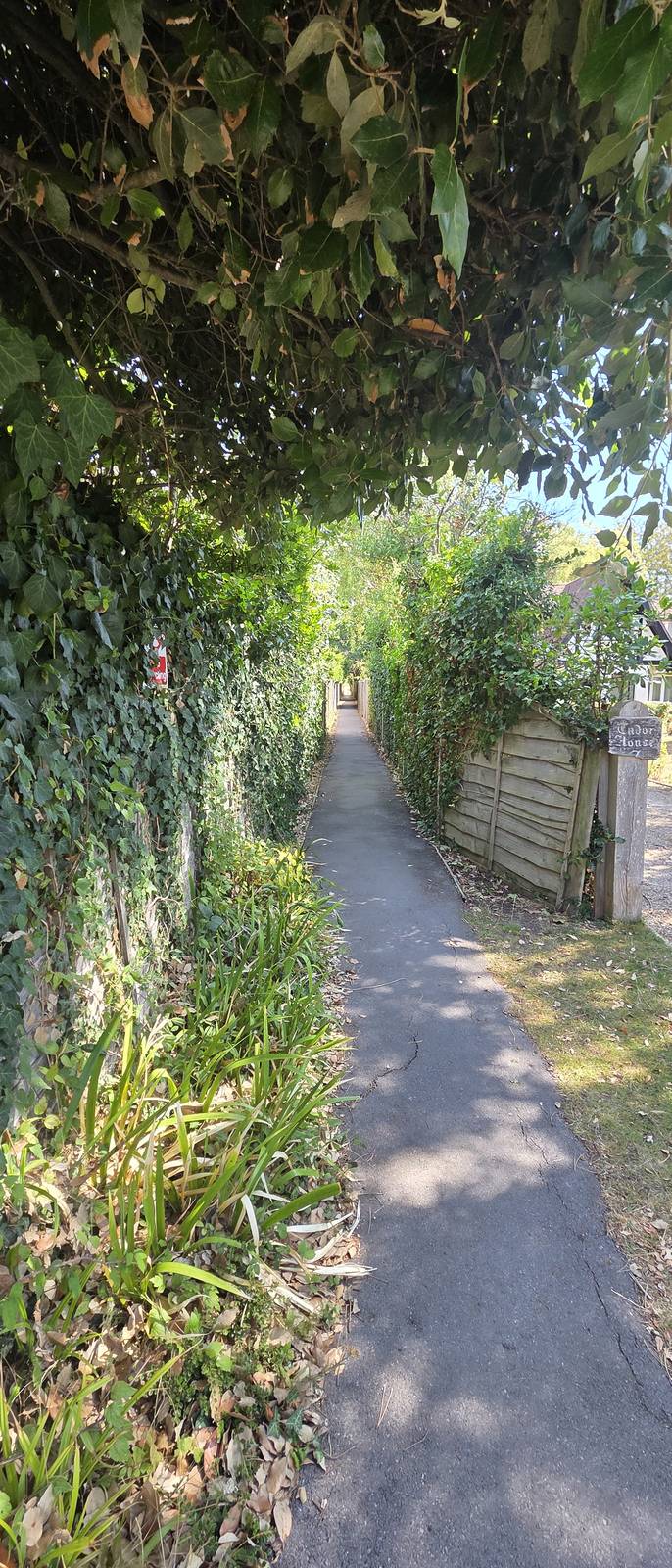 A narrow tarmac path between a tall hedge on one side and a close-boarded fence carrying a house name sign on the other, with ivy and fallen leaves along the edges and dappled sunlight on the path